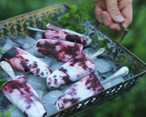Blueberry-Coconut Popsicles