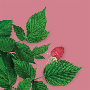 Raspberry Leaf 15g